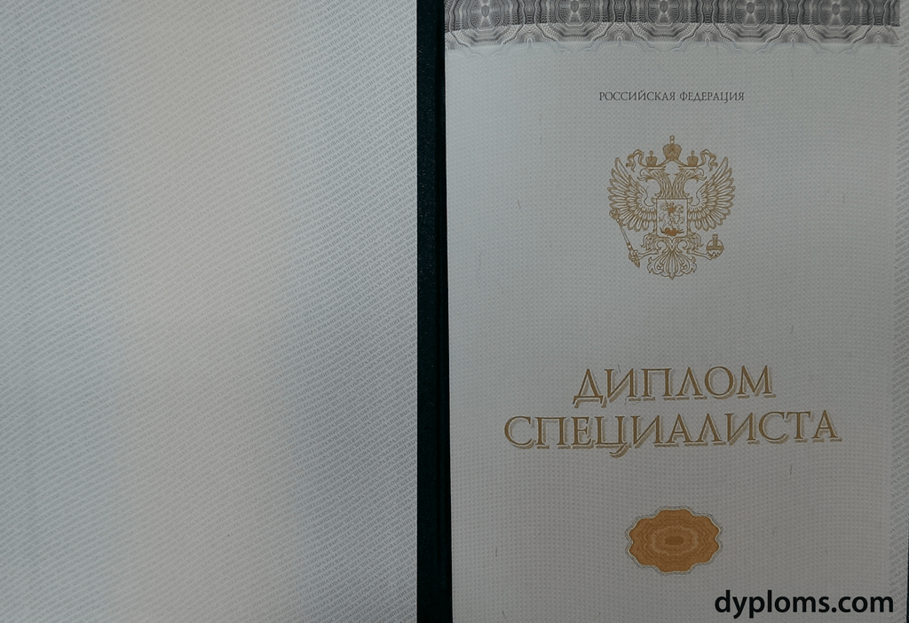 Диплом с проводкой по базам Путь к успеху в освоении базы данных Диплом с проводкой по базам Путь к успеху в освоении базы данных